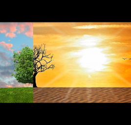 Conferencia Magistral sobre Ciencias Ambientales