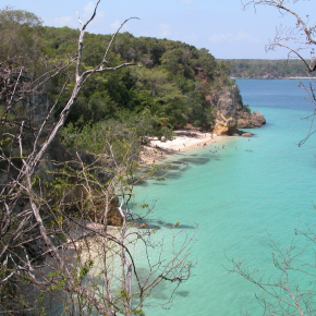 Ocean Paradise