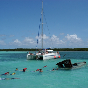 Ocean Paradise
