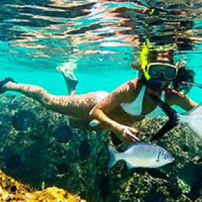 Naútica Bajo el azul (Buceo desde barco)