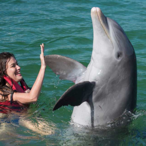 Paseo y contacto directo con los delfines en Varadero