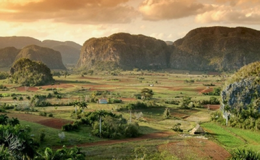 vinales