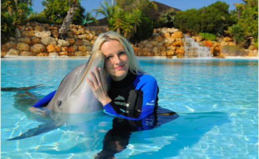 delfines