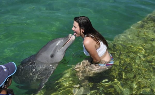 Baño con delfines3