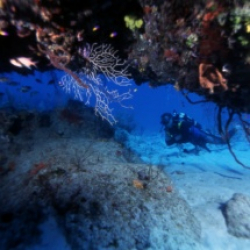 Buceo desde la orilla en Marina Hemingway